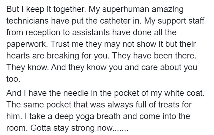 Heartbreaking Post On Euthanasia From A Vet That Has To Perform It Goes Viral