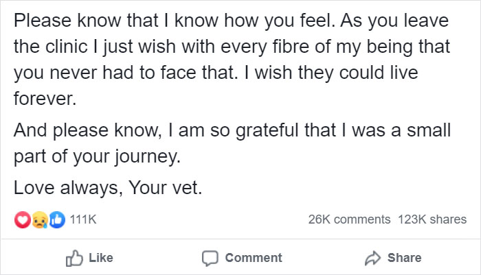 Heartbreaking Post On Euthanasia From A Vet That Has To Perform It Goes Viral