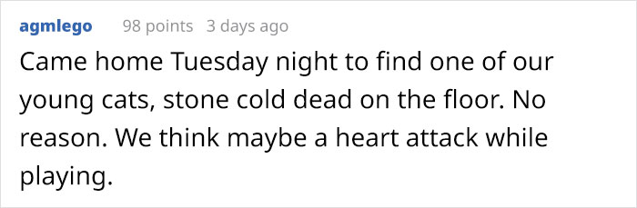 Heartbreaking Post On Euthanasia From A Vet That Has To Perform It Goes Viral