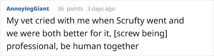 Heartbreaking Post On Euthanasia From A Vet That Has To Perform It Goes Viral
