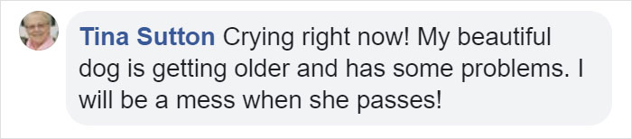 Heartbreaking Post On Euthanasia From A Vet That Has To Perform It Goes Viral