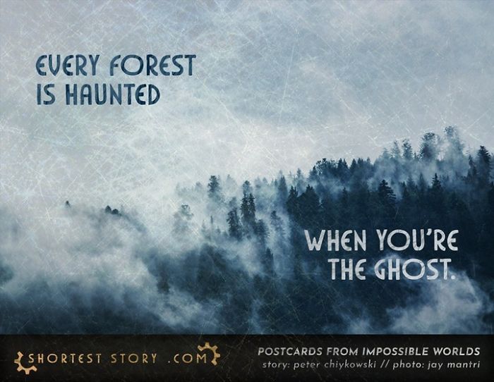 35 Weird Short Stories To Scare You This Evening Created By A Canadian Guy