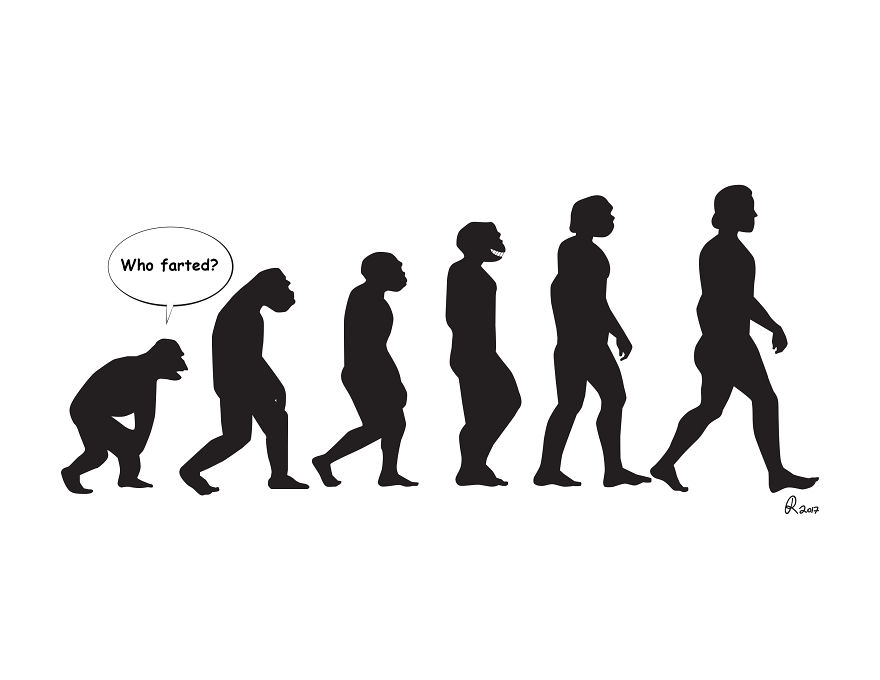 I Poke Fun At Our Modern Society In My 30 Cartoons Of The Human Evolution Silhouette I Poke Fun At Our Modern Society In My 30 Cartoons Of The Human Evolution Silhouette