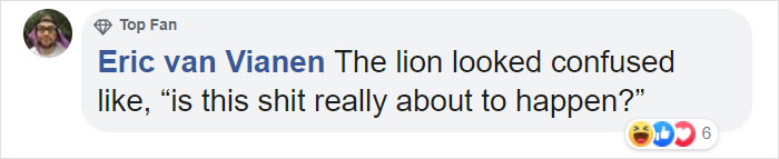 Woman Climbs Into A Lion Enclosure In A Bold Display Of Stupidity Woman Climbs Into A Lion Enclosure In A Bold Display Of Stupidity