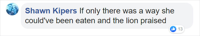 Woman Climbs Into A Lion Enclosure In A Bold Display Of Stupidity Woman Climbs Into A Lion Enclosure In A Bold Display Of Stupidity