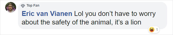 Woman Climbs Into A Lion Enclosure In A Bold Display Of Stupidity Woman Climbs Into A Lion Enclosure In A Bold Display Of Stupidity