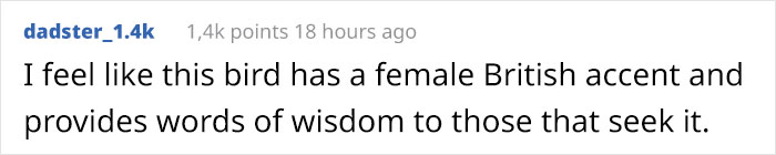 Meet The Harpy Eagle – One Of The Largest Birds In The World Meet The Harpy Eagle – One Of The Largest Birds In The World
