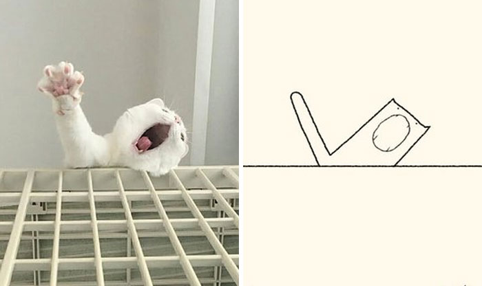 This Twitter Account Posts ‘Poorly Drawn Animals’ And Here Are 37 Of The Funniest Ones This Twitter Account Posts ‘Poorly Drawn Animals’ And Here Are 37 Of The Funniest Ones