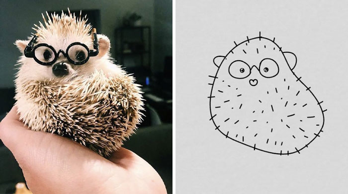 This Twitter Account Posts ‘Poorly Drawn Animals’ And Here Are 37 Of The Funniest Ones This Twitter Account Posts ‘Poorly Drawn Animals’ And Here Are 37 Of The Funniest Ones