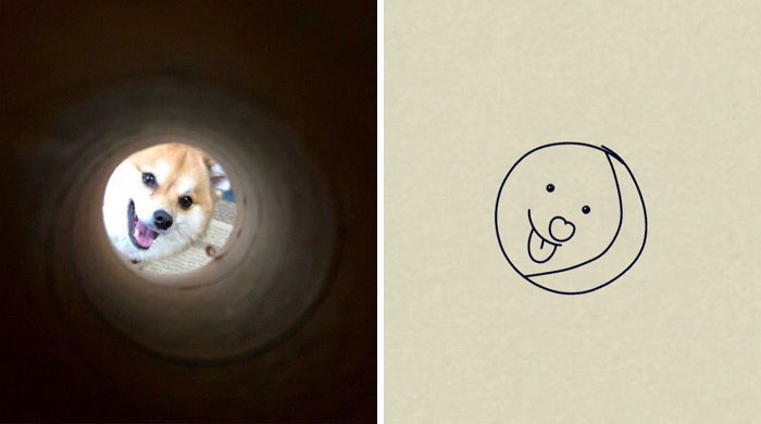 This Twitter Account Posts ‘Poorly Drawn Animals’ And Here Are 37 Of The Funniest Ones This Twitter Account Posts ‘Poorly Drawn Animals’ And Here Are 37 Of The Funniest Ones