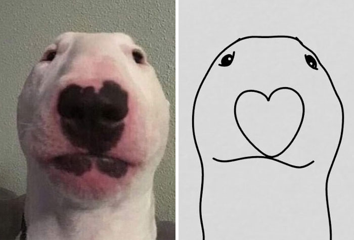 This Twitter Account Posts ‘Poorly Drawn Animals’ And Here Are 37 Of The Funniest Ones This Twitter Account Posts ‘Poorly Drawn Animals’ And Here Are 37 Of The Funniest Ones