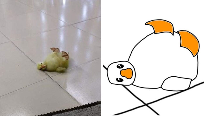 This Twitter Account Posts ‘Poorly Drawn Animals’ And Here Are 37 Of The Funniest Ones This Twitter Account Posts ‘Poorly Drawn Animals’ And Here Are 37 Of The Funniest Ones