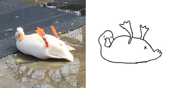 This Twitter Account Posts ‘Poorly Drawn Animals’ And Here Are 37 Of The Funniest Ones This Twitter Account Posts ‘Poorly Drawn Animals’ And Here Are 37 Of The Funniest Ones