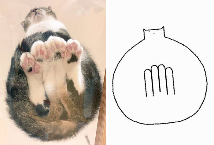 This Twitter Account Posts ‘Poorly Drawn Animals’ And Here Are 37 Of The Funniest Ones This Twitter Account Posts ‘Poorly Drawn Animals’ And Here Are 37 Of The Funniest Ones