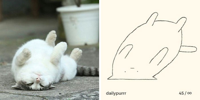 This Twitter Account Posts ‘Poorly Drawn Animals’ And Here Are 37 Of The Funniest Ones This Twitter Account Posts ‘Poorly Drawn Animals’ And Here Are 37 Of The Funniest Ones
