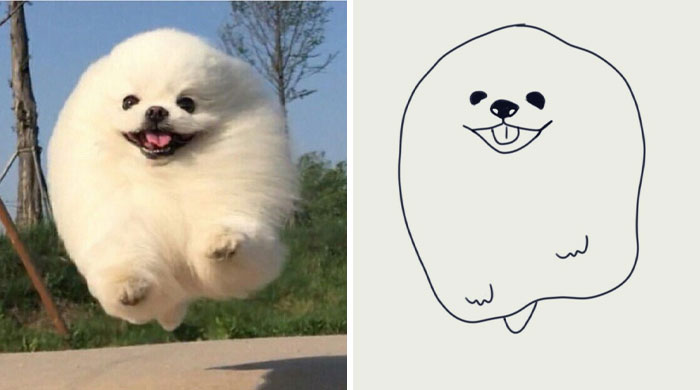 This Twitter Account Posts ‘Poorly Drawn Animals’ And Here Are 37 Of The Funniest Ones This Twitter Account Posts ‘Poorly Drawn Animals’ And Here Are 37 Of The Funniest Ones