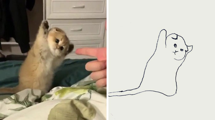 This Twitter Account Posts ‘Poorly Drawn Animals’ And Here Are 37 Of The Funniest Ones This Twitter Account Posts ‘Poorly Drawn Animals’ And Here Are 37 Of The Funniest Ones