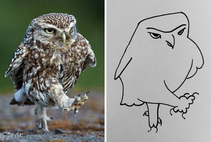 This Twitter Account Posts ‘Poorly Drawn Animals’ And Here Are 37 Of The Funniest Ones This Twitter Account Posts ‘Poorly Drawn Animals’ And Here Are 37 Of The Funniest Ones