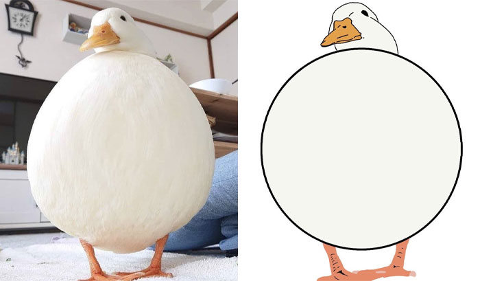 This Twitter Account Posts ‘Poorly Drawn Animals’ And Here Are 37 Of The Funniest Ones This Twitter Account Posts ‘Poorly Drawn Animals’ And Here Are 37 Of The Funniest Ones