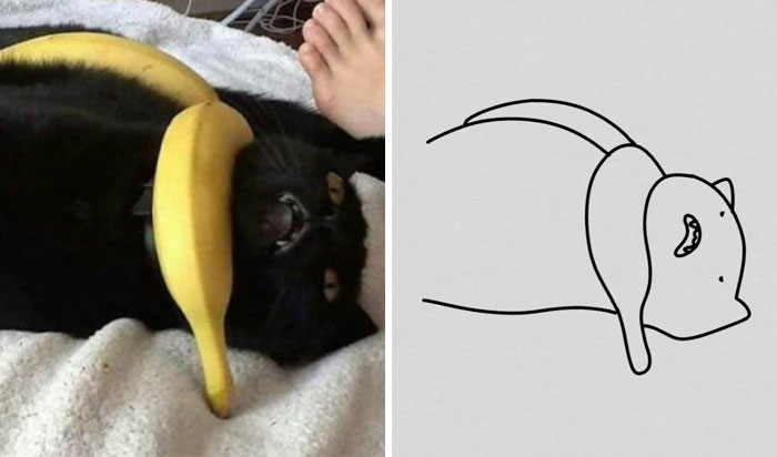 This Twitter Account Posts ‘Poorly Drawn Animals’ And Here Are 37 Of The Funniest Ones This Twitter Account Posts ‘Poorly Drawn Animals’ And Here Are 37 Of The Funniest Ones