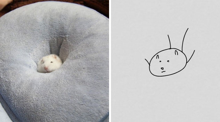 This Twitter Account Posts ‘Poorly Drawn Animals’ And Here Are 37 Of The Funniest Ones This Twitter Account Posts ‘Poorly Drawn Animals’ And Here Are 37 Of The Funniest Ones