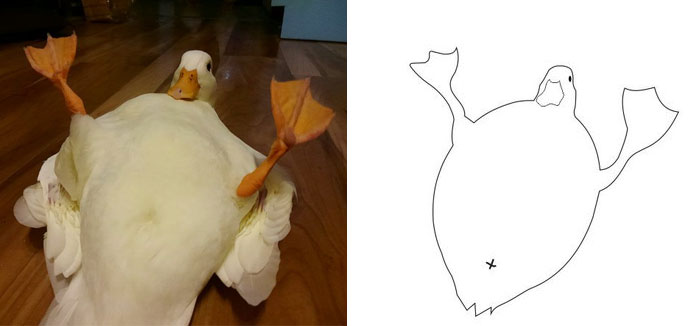 This Twitter Account Posts ‘Poorly Drawn Animals’ And Here Are 37 Of The Funniest Ones This Twitter Account Posts ‘Poorly Drawn Animals’ And Here Are 37 Of The Funniest Ones