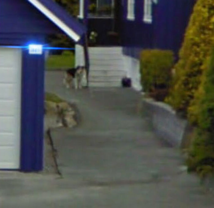 16 People Who Found Their Loved Ones On Google Street View And It Warmed Their Hearts 16 People Who Found Their Loved Ones On Google Street View And It Warmed Their Hearts