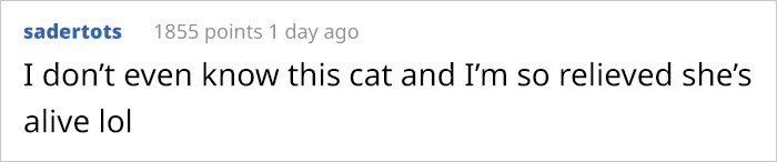 Good News, Everyone – Loops The Cat Is Alive And Well Good News, Everyone – Loops The Cat Is Alive And Well