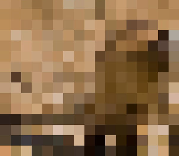 These 22 Pics Are Composed Of As Many Pixels As There Are Animals Still Alive In These Species