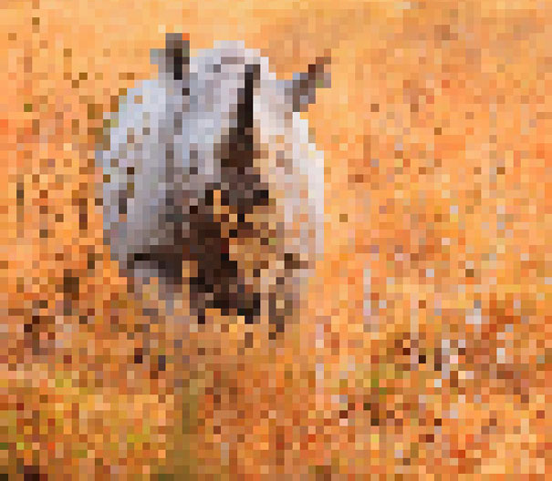 These 22 Pics Are Composed Of As Many Pixels As There Are Animals Still Alive In These Species