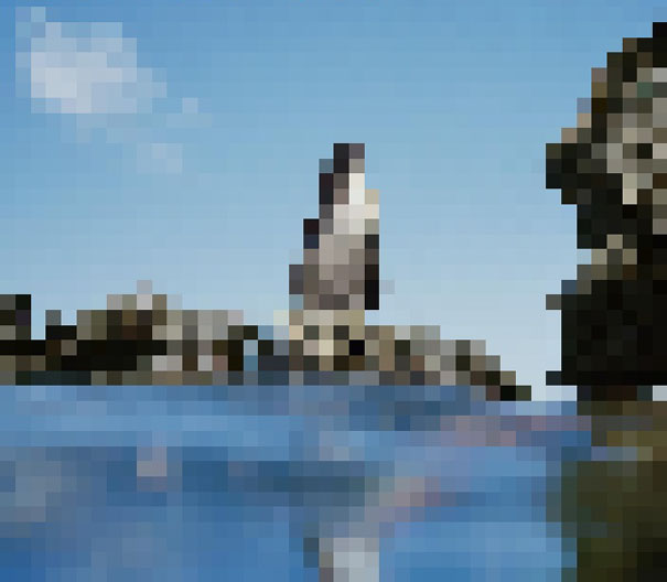 These 22 Pics Are Composed Of As Many Pixels As There Are Animals Still Alive In These Species