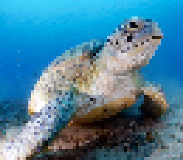 These 22 Pics Are Composed Of As Many Pixels As There Are Animals Still Alive In These Species
