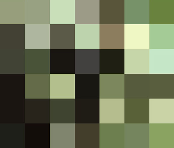 These 22 Pics Are Composed Of As Many Pixels As There Are Animals Still Alive In These Species