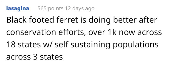 These 22 Pics Are Composed Of As Many Pixels As There Are Animals Still Alive In These Species