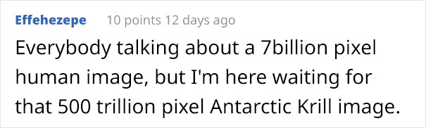 These 22 Pics Are Composed Of As Many Pixels As There Are Animals Still Alive In These Species