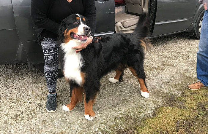 45 People Share The Most Obvious Things They Had To Explain To Fellow Adults 45 People Share The Most Obvious Things They Had To Explain To Fellow Adults