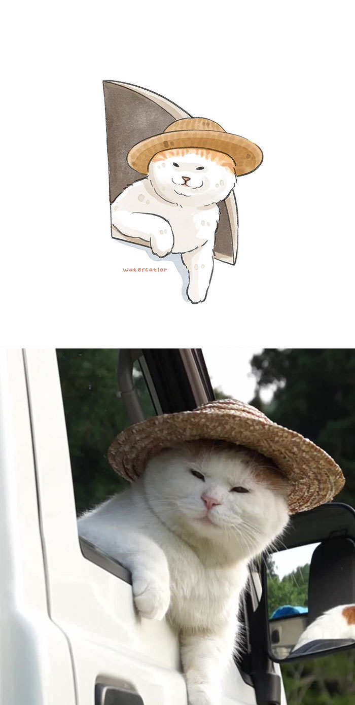 30 Of The Funniest Internet-Famous Cat Pics Get ‘Watercolorized’ By Amelia Rizky 30 Of The Funniest Internet-Famous Cat Pics Get ‘Watercolorized’ By Amelia Rizky