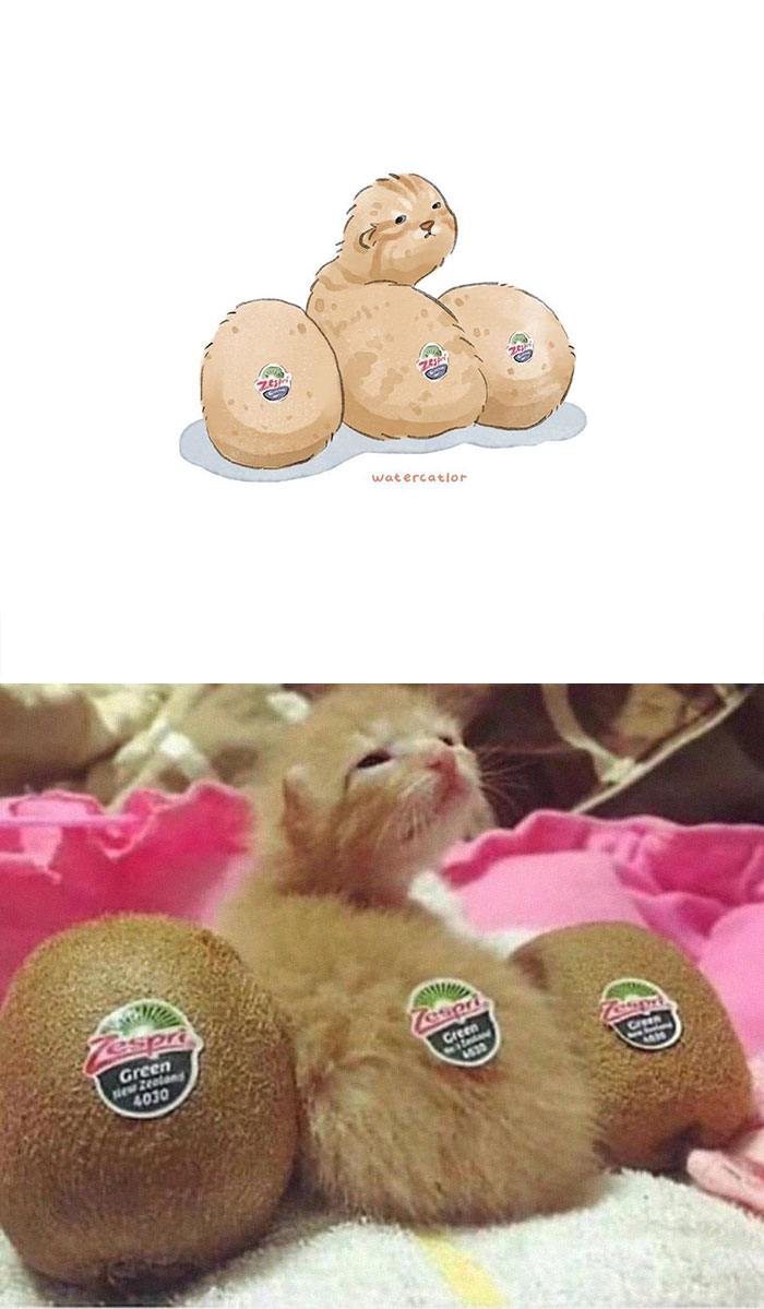 30 Of The Funniest Internet-Famous Cat Pics Get ‘Watercolorized’ By Amelia Rizky 30 Of The Funniest Internet-Famous Cat Pics Get ‘Watercolorized’ By Amelia Rizky