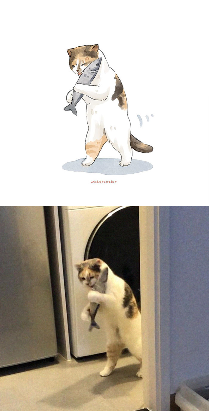 30 Of The Funniest Internet-Famous Cat Pics Get ‘Watercolorized’ By Amelia Rizky 30 Of The Funniest Internet-Famous Cat Pics Get ‘Watercolorized’ By Amelia Rizky
