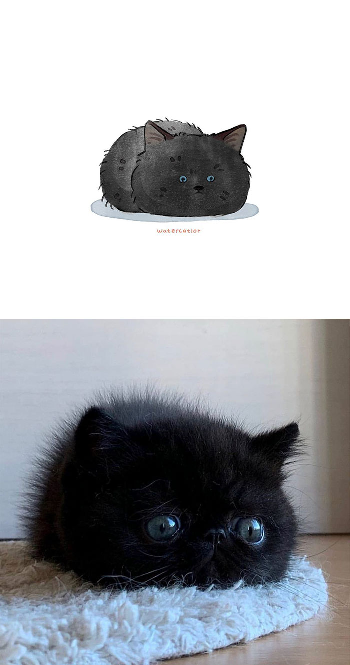 30 Of The Funniest Internet-Famous Cat Pics Get ‘Watercolorized’ By Amelia Rizky 30 Of The Funniest Internet-Famous Cat Pics Get ‘Watercolorized’ By Amelia Rizky