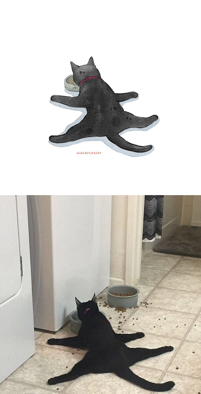 30 Of The Funniest Internet-Famous Cat Pics Get ‘Watercolorized’ By Amelia Rizky 30 Of The Funniest Internet-Famous Cat Pics Get ‘Watercolorized’ By Amelia Rizky