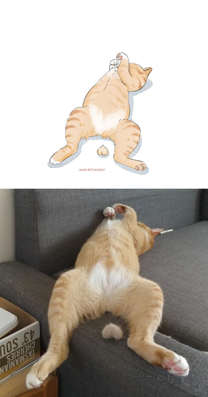 30 Of The Funniest Internet-Famous Cat Pics Get ‘Watercolorized’ By Amelia Rizky 30 Of The Funniest Internet-Famous Cat Pics Get ‘Watercolorized’ By Amelia Rizky
