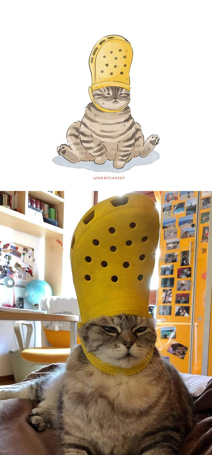 30 Of The Funniest Internet-Famous Cat Pics Get ‘Watercolorized’ By Amelia Rizky 30 Of The Funniest Internet-Famous Cat Pics Get ‘Watercolorized’ By Amelia Rizky