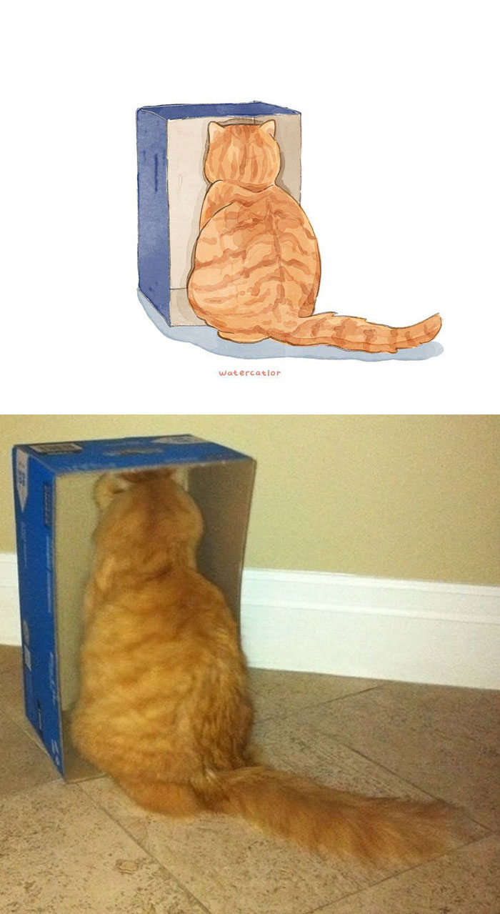 30 Of The Funniest Internet-Famous Cat Pics Get ‘Watercolorized’ By Amelia Rizky 30 Of The Funniest Internet-Famous Cat Pics Get ‘Watercolorized’ By Amelia Rizky