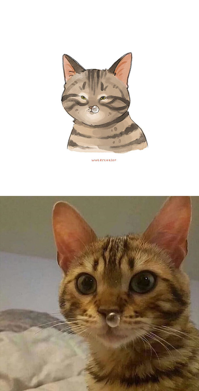 30 Of The Funniest Internet-Famous Cat Pics Get ‘Watercolorized’ By Amelia Rizky 30 Of The Funniest Internet-Famous Cat Pics Get ‘Watercolorized’ By Amelia Rizky