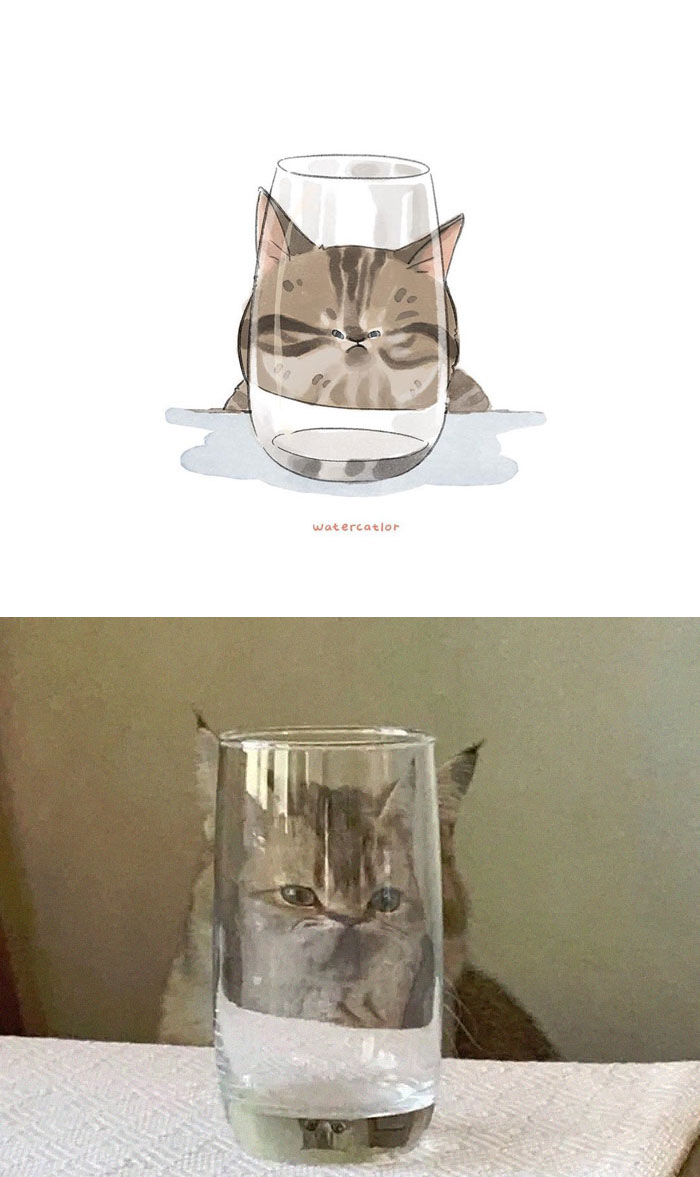 30 Of The Funniest Internet-Famous Cat Pics Get ‘Watercolorized’ By Amelia Rizky 30 Of The Funniest Internet-Famous Cat Pics Get ‘Watercolorized’ By Amelia Rizky