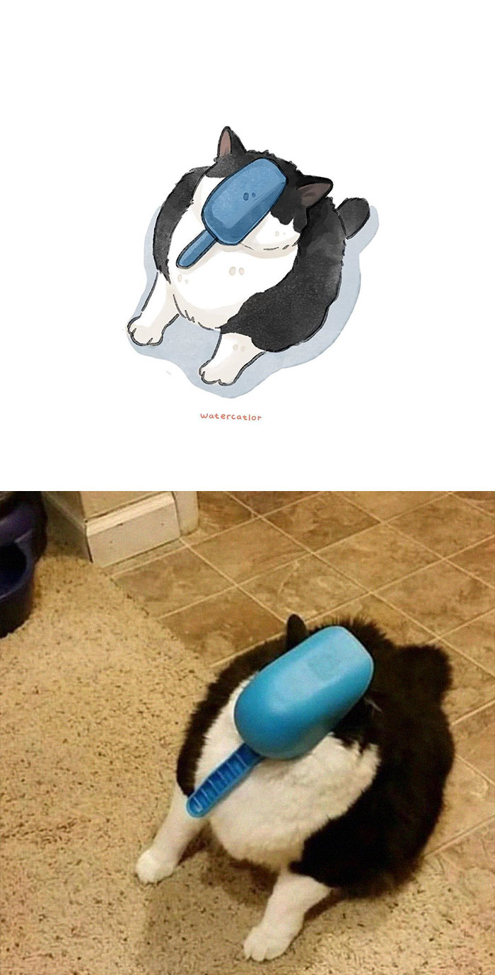 30 Of The Funniest Internet-Famous Cat Pics Get ‘Watercolorized’ By Amelia Rizky 30 Of The Funniest Internet-Famous Cat Pics Get ‘Watercolorized’ By Amelia Rizky