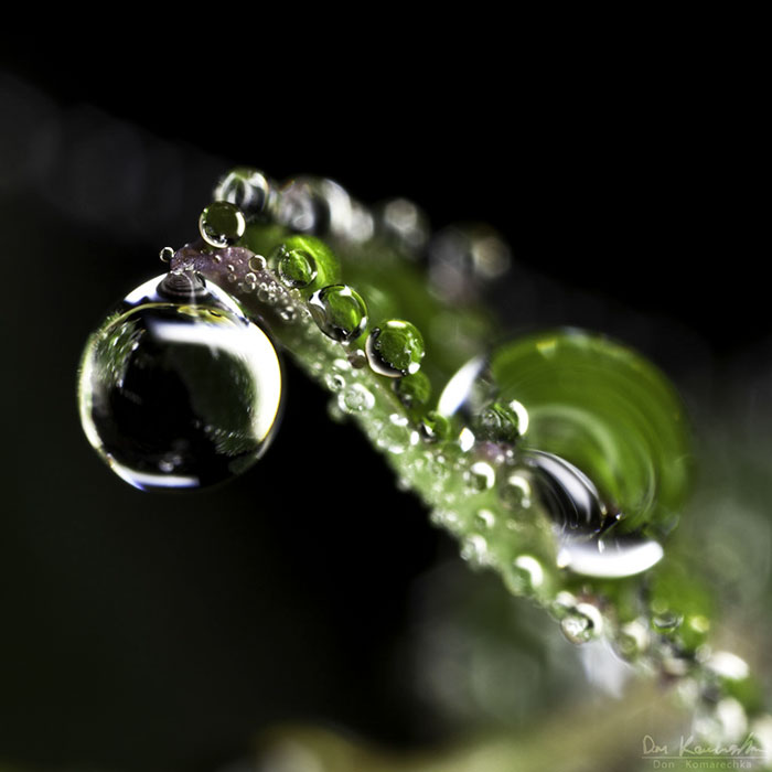 30 Mesmerizing Water Droplet Photos By A Macro Photographer