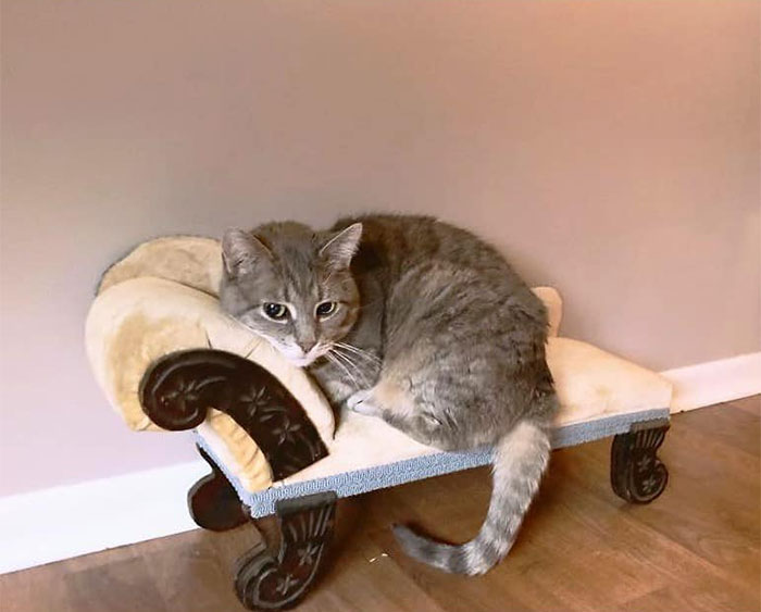 35 Times People Couldn’t Believe Their Luck In Thrift Stores 35 Times People Couldn’t Believe Their Luck In Thrift Stores