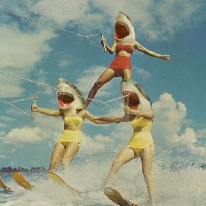 38 Collages Of Old, Vintage Photographs From The Past That Form Surreal Madness By Mohanad Shuraideh 38 Collages Of Old, Vintage Photographs From The Past That Form Surreal Madness By Mohanad Shuraideh